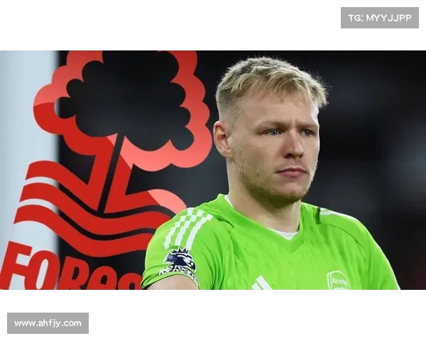 阿森纳计划夏窗出售维埃拉与内尔森 目标套现4000万镑